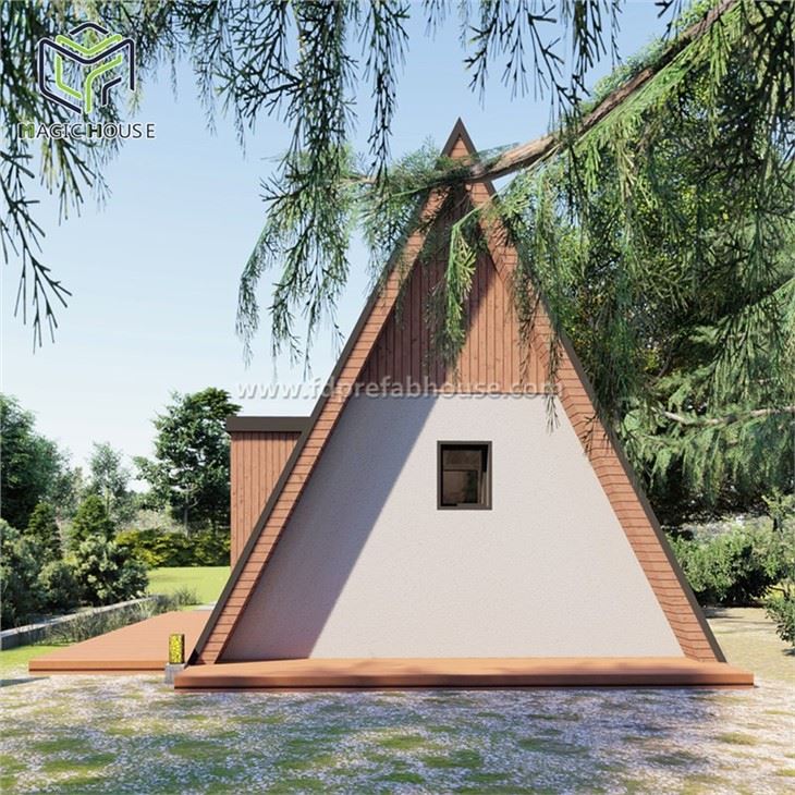 Design Creative Triangle House Renderings